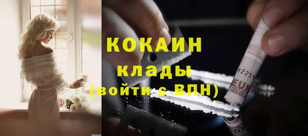 альфа пвп Медвежьегорск
