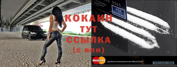 альфа пвп Медвежьегорск